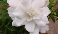 photo-11.jpg